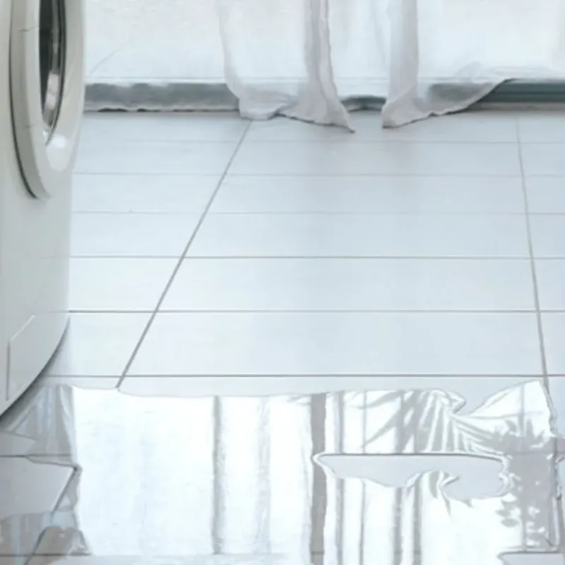 Appliance Leak Cleanup in Woodville, OH