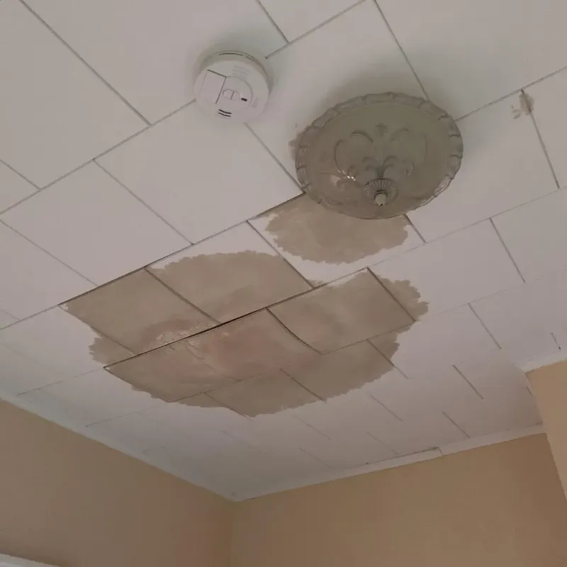 Ceiling Water Damage Repair in Woodville, OH