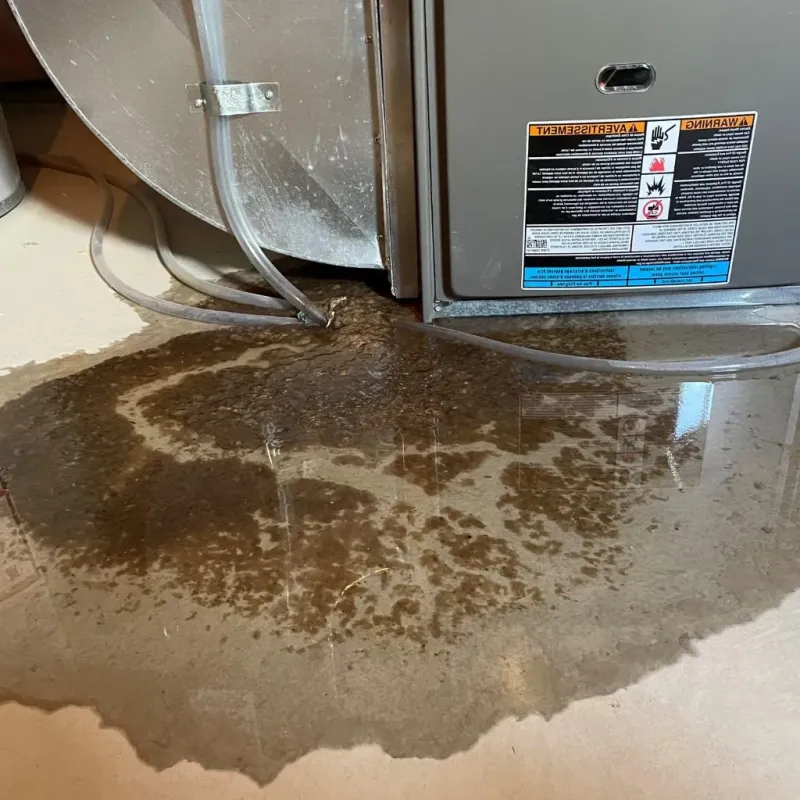 Pipe Burst and Leak Restoration in Woodville, OH