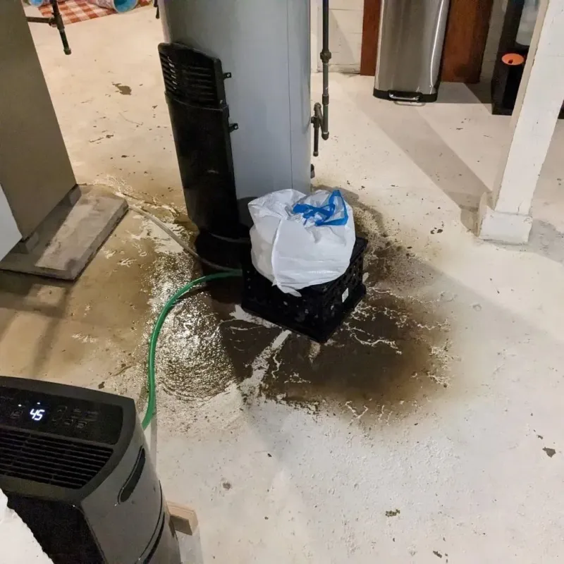 Sewage Backup Cleanup Service in Woodville, OH
